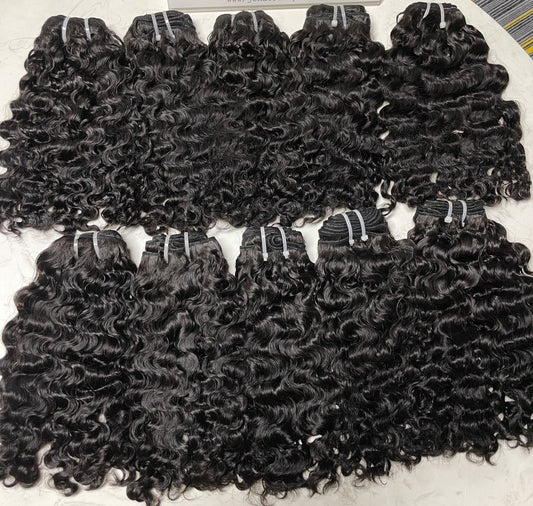 Exquisite Burmese Curly